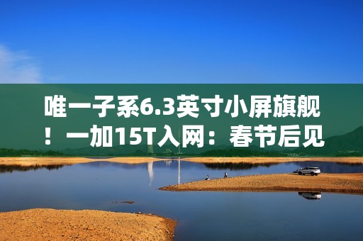唯一子系6.3英寸小屏旗舰！一加15T入网：春节后见