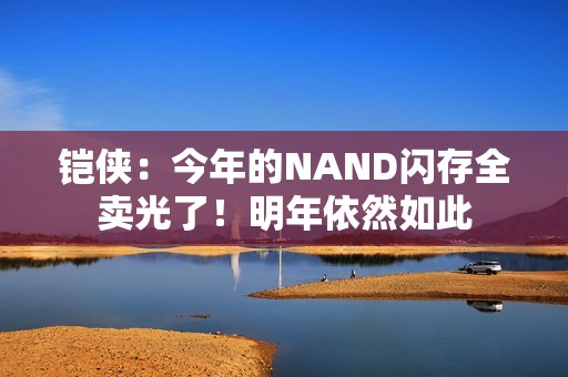 铠侠：今年的NAND闪存全卖光了！明年依然如此