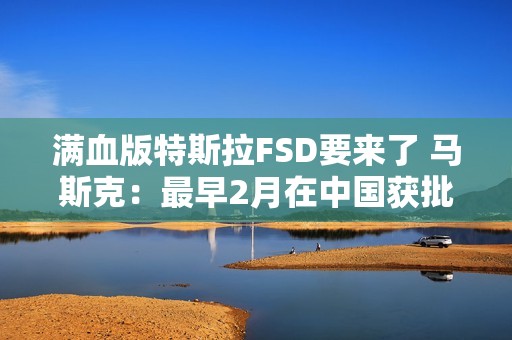 满血版特斯拉FSD要来了 马斯克：最早2月在中国获批