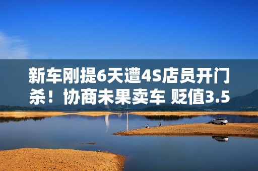 新车刚提6天遭4S店员开门杀！协商未果卖车 贬值3.5万元
