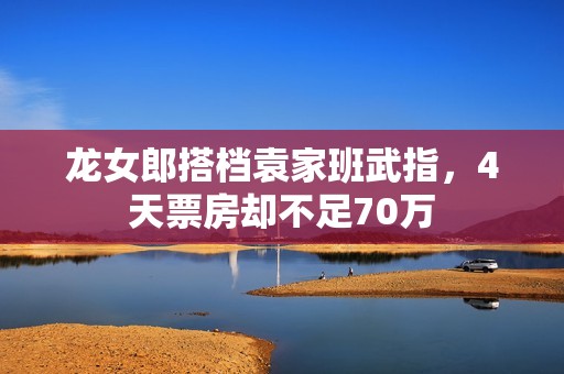龙女郎搭档袁家班武指，4天票房却不足70万