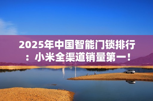 2025年中国智能门锁排行：小米全渠道销量第一！