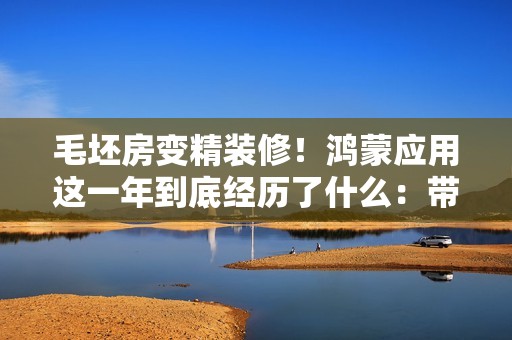 毛坯房变精装修！鸿蒙应用这一年到底经历了什么：带你们来感受下