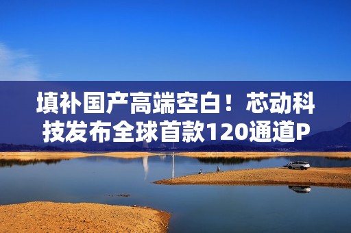 填补国产高端空白！芯动科技发布全球首款120通道PCIe5交换芯片