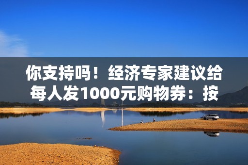 你支持吗！经济专家建议给每人发1000元购物券：按身份证发、没任何限制