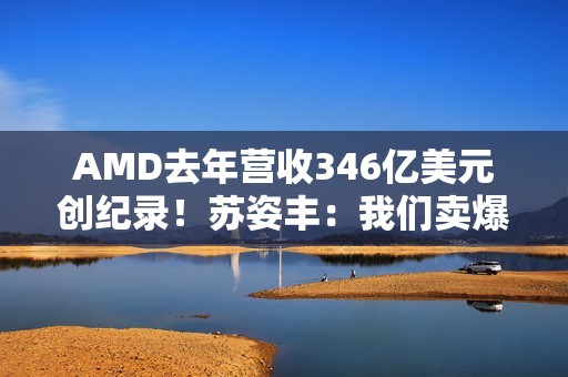 AMD去年营收346亿美元创纪录！苏姿丰：我们卖爆了
