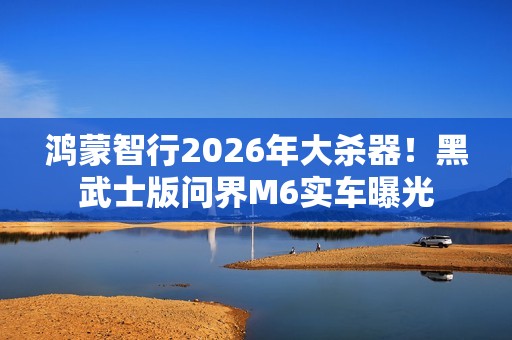 鸿蒙智行2026年大杀器！黑武士版问界M6实车曝光