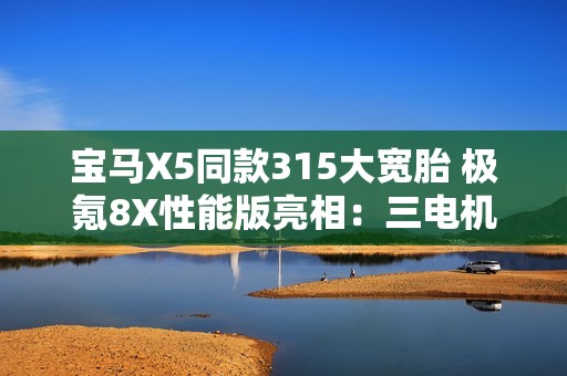 宝马X5同款315大宽胎 极氪8X性能版亮相：三电机+电动尾翼