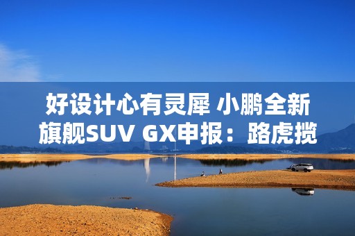 好设计心有灵犀 小鹏全新旗舰SUV GX申报：路虎揽胜既视感