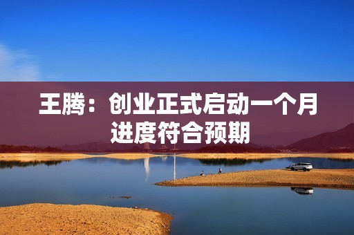 王腾：创业正式启动一个月 进度符合预期