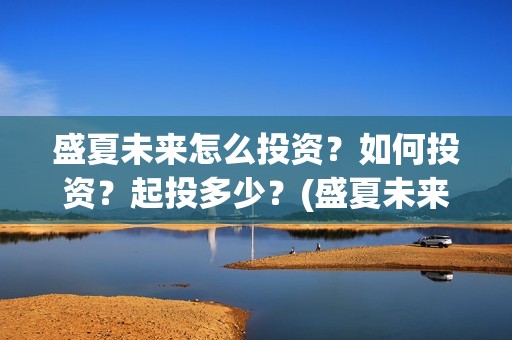 盛夏未来怎么投资？如何投资？起投多少？(盛夏未来怎么过审的)