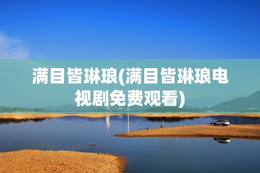满目皆琳琅(满目皆琳琅电视剧免费观看)