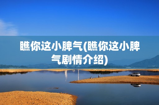 瞧你这小脾气(瞧你这小脾气剧情介绍)