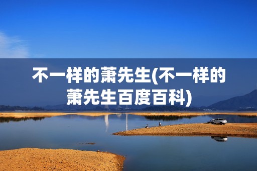 不一样的萧先生(不一样的萧先生百度百科)