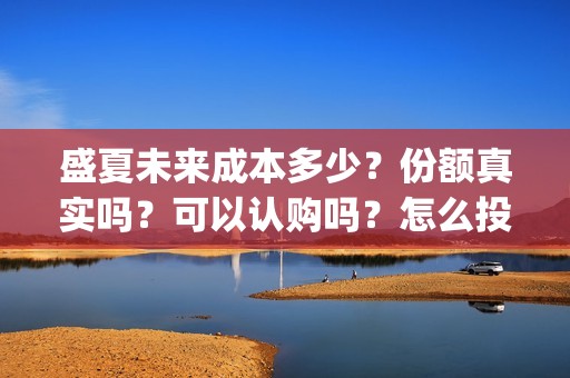 盛夏未来成本多少？份额真实吗？可以认购吗？怎么投资？(盛夏未来投资成本多少)