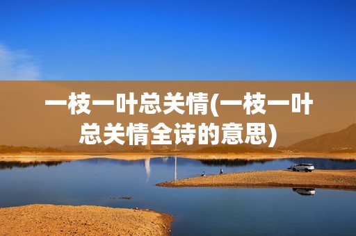 一枝一叶总关情(一枝一叶总关情全诗的意思)