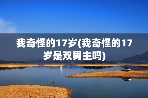 我奇怪的17岁(我奇怪的17岁是双男主吗)