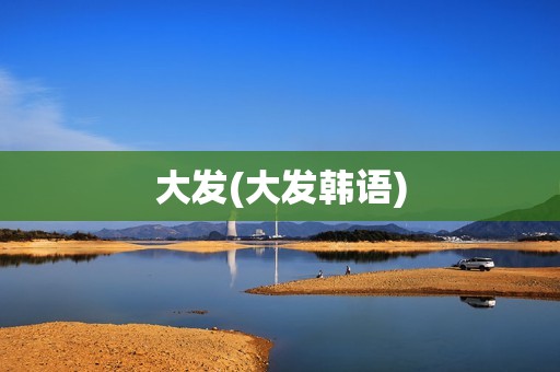 大发(大发韩语)