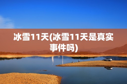 冰雪11天(冰雪11天是真实事件吗)