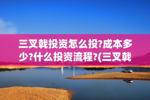 三叉戟投资怎么投?成本多少?什么投资流程?(三叉戟卖给谁)
