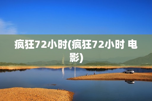 疯狂72小时(疯狂72小时 电影)