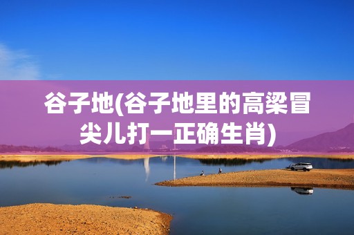 谷子地(谷子地里的高梁冒尖儿打一正确生肖)