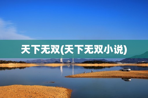 天下无双(天下无双小说)