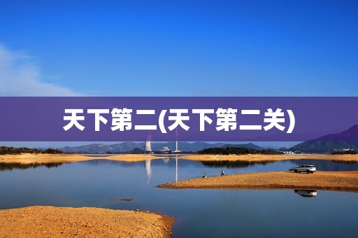 天下第二(天下第二关)