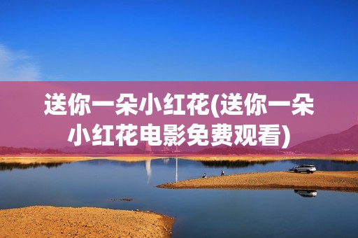 送你一朵小红花(送你一朵小红花电影免费观看)