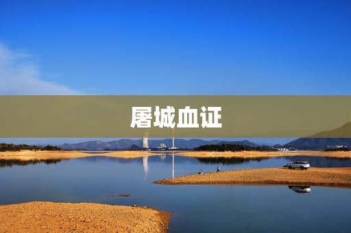屠城血证