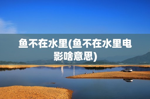 鱼不在水里(鱼不在水里电影啥意思)
