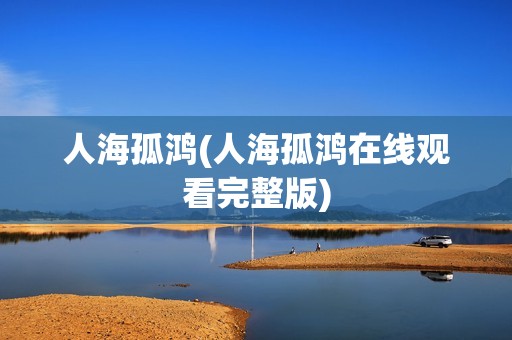 人海孤鸿(人海孤鸿在线观看完整版)