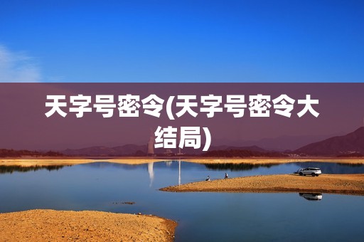 天字号密令(天字号密令大结局)