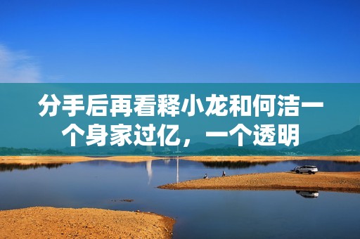 分手后再看释小龙和何洁一个身家过亿，一个透明