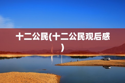 十二公民(十二公民观后感)