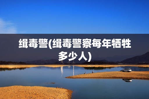 缉毒警(缉毒警察每年牺牲多少人)