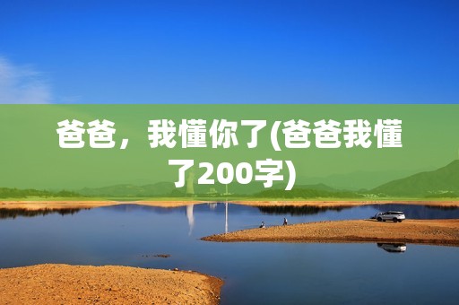 爸爸，我懂你了(爸爸我懂了200字)