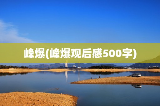 峰爆(峰爆观后感500字)