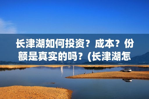 长津湖如何投资？成本？份额是真实的吗？(长津湖怎么参与投资)