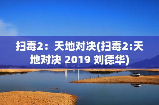 扫毒2：天地对决(扫毒2:天地对决 2019 刘德华)