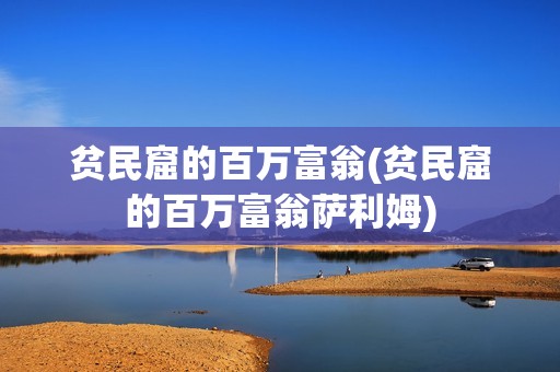 贫民窟的百万富翁(贫民窟的百万富翁萨利姆)
