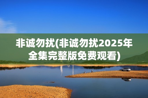 非诚勿扰(非诚勿扰2025年全集完整版免费观看)