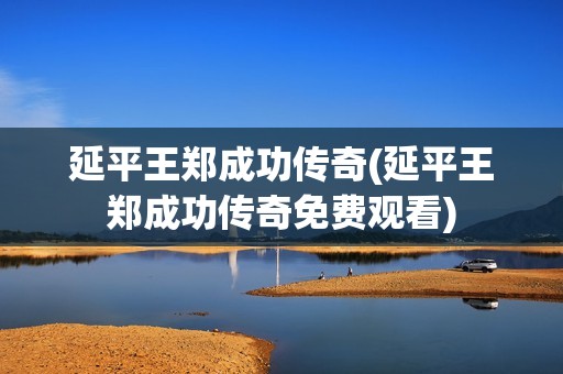 延平王郑成功传奇(延平王郑成功传奇免费观看)
