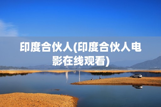 印度合伙人(印度合伙人电影在线观看)