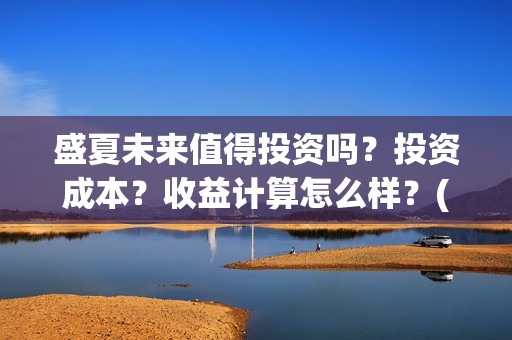 盛夏未来值得投资吗？投资成本？收益计算怎么样？(盛夏未来 投资方)
