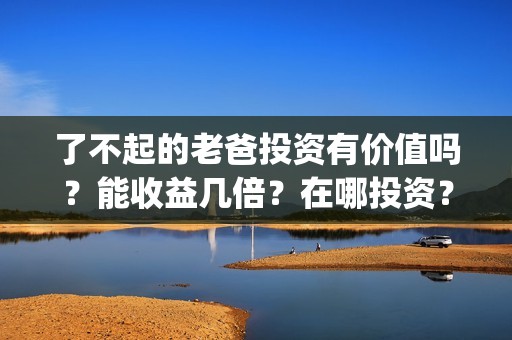 了不起的老爸投资有价值吗？能收益几倍？在哪投资？(了不 起的老爸)