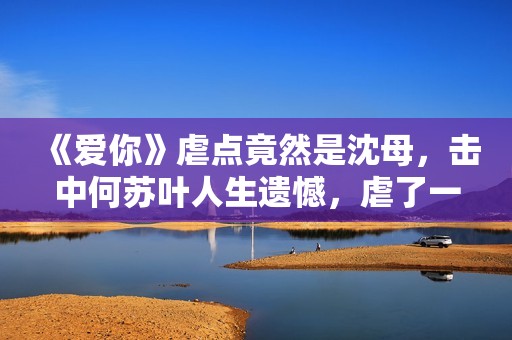 《爱你》虐点竟然是沈母，击中何苏叶人生遗憾，虐了一个大的