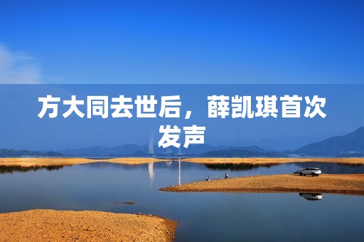方大同去世后，薛凯琪首次发声