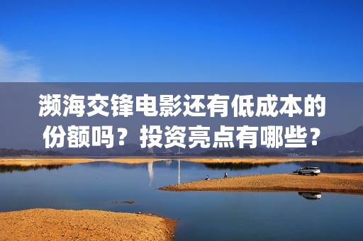 濒海交锋电影还有低成本的份额吗？投资亮点有哪些？(濒海交锋电影怎么样)