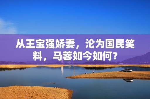 从王宝强娇妻，沦为国民笑料，马蓉如今如何？